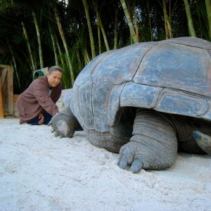 Aldabra Breeders