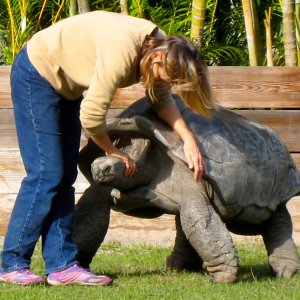 Aldabra Breeders
