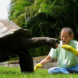 Aldabra Breeders