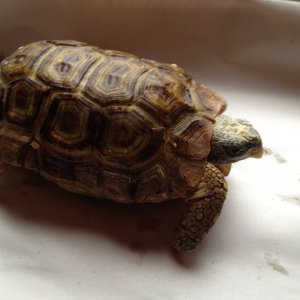 2016-02-04_13_24_16