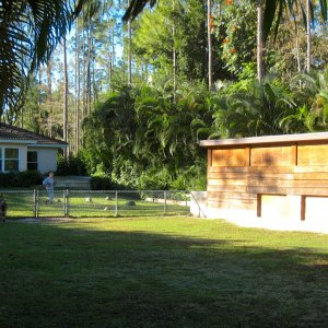 Aldabra Breeders