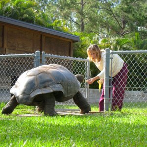 Aldabra Breeders