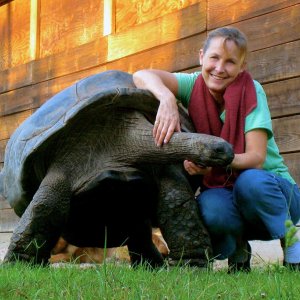 Aldabra Breeders