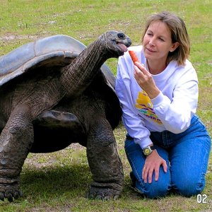 Aldabra Breeders