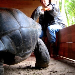 Aldabra Breeders