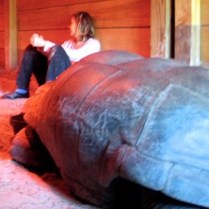 Aldabra Breeders
