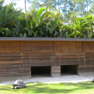 Aldabra Breeders