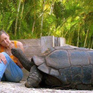 Aldabra Breeders