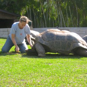Aldabra Breeders
