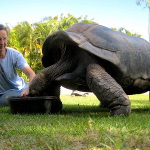 Aldabra Breeders