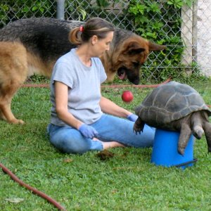 Aldabra Breeders