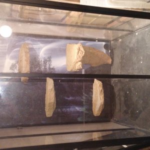 20160219_220543