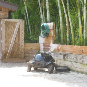 Aldabra Breeders