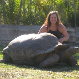 Aldabra Breeders