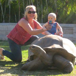 Aldabra Breeders