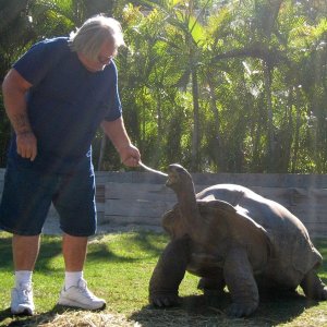 Aldabra Breeders
