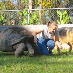 Aldabra Breeders