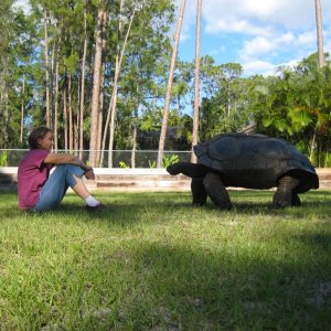 Aldabra Breeders