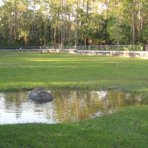 Aldabra Breeders