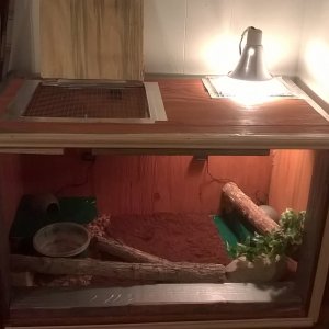 ball python cage