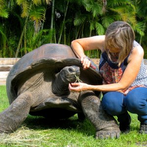 Aldabra Breeders