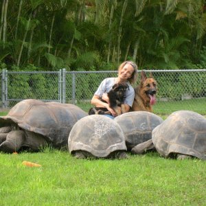 Aldabra Breeders