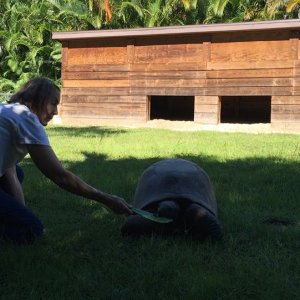 Aldabra Breeders