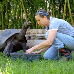 Aldabra Breeders