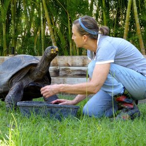 Aldabra Breeders