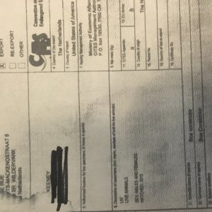 Proof not stolen