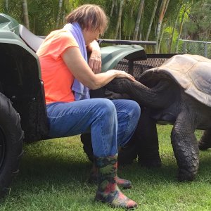 Aldabra Breeders