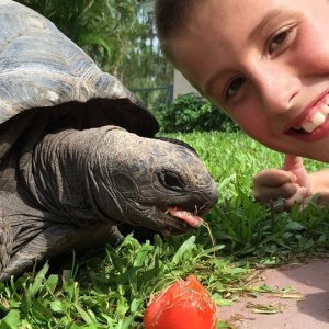 Aldabra Breeders