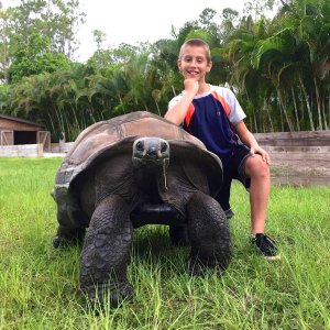 Aldabra Breeders