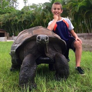 Aldabra Breeders