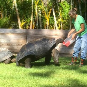 Aldabra Breeders
