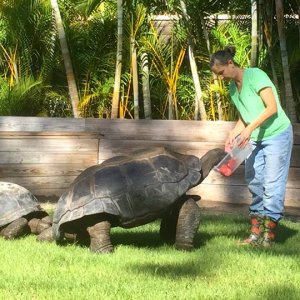 Aldabra Breeders