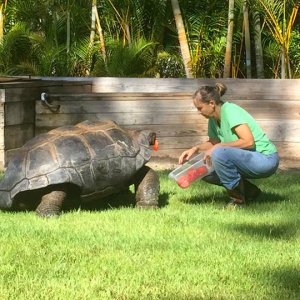 Aldabra Breeders