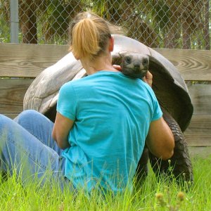 Aldabra Breeders