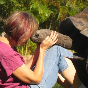 Aldabra Breeders