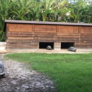 Aldabra Breeders
