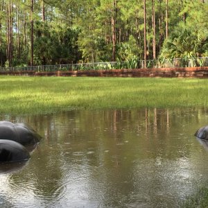 Aldabra Breeders