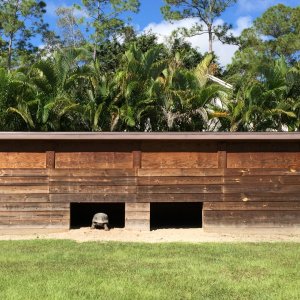 Aldabra Breeders