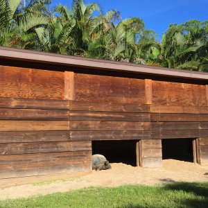 Aldabra Breeders