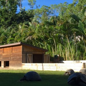 Aldabra Breeders