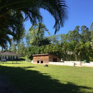 Aldabra Breeders