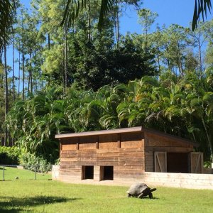 Aldabra Breeders