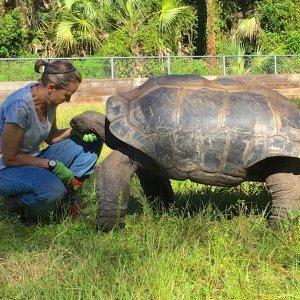 Aldabra Breeders