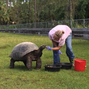 Aldabra Breeders