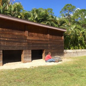 Aldabra Breeders