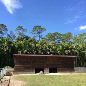 Aldabra Breeders